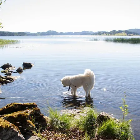 Gapalux Ved Hammervatnet Campingplasser Levanger