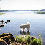Gapalux Campingplasser Levanger